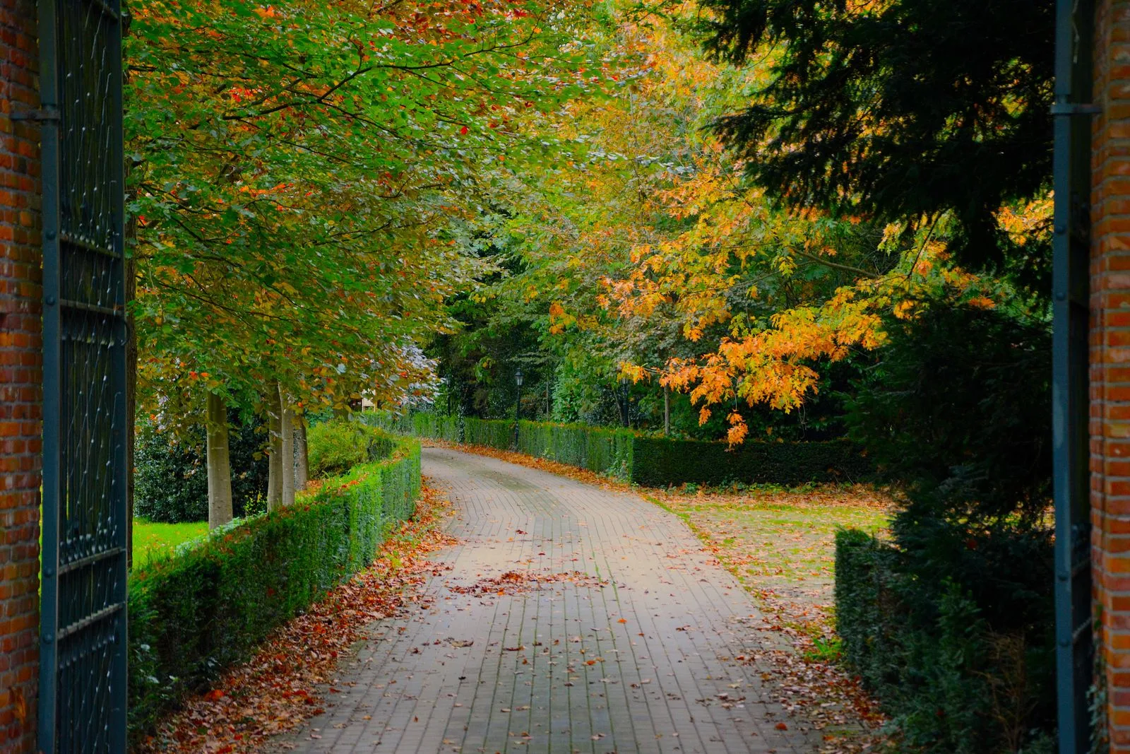 Een oprit in klinkers tussen hagen en bomen